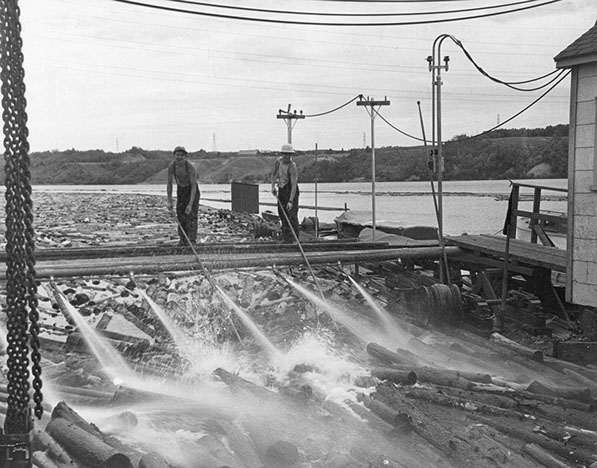 Arrival of the timber, La Belgo , Shawinigan, Canada